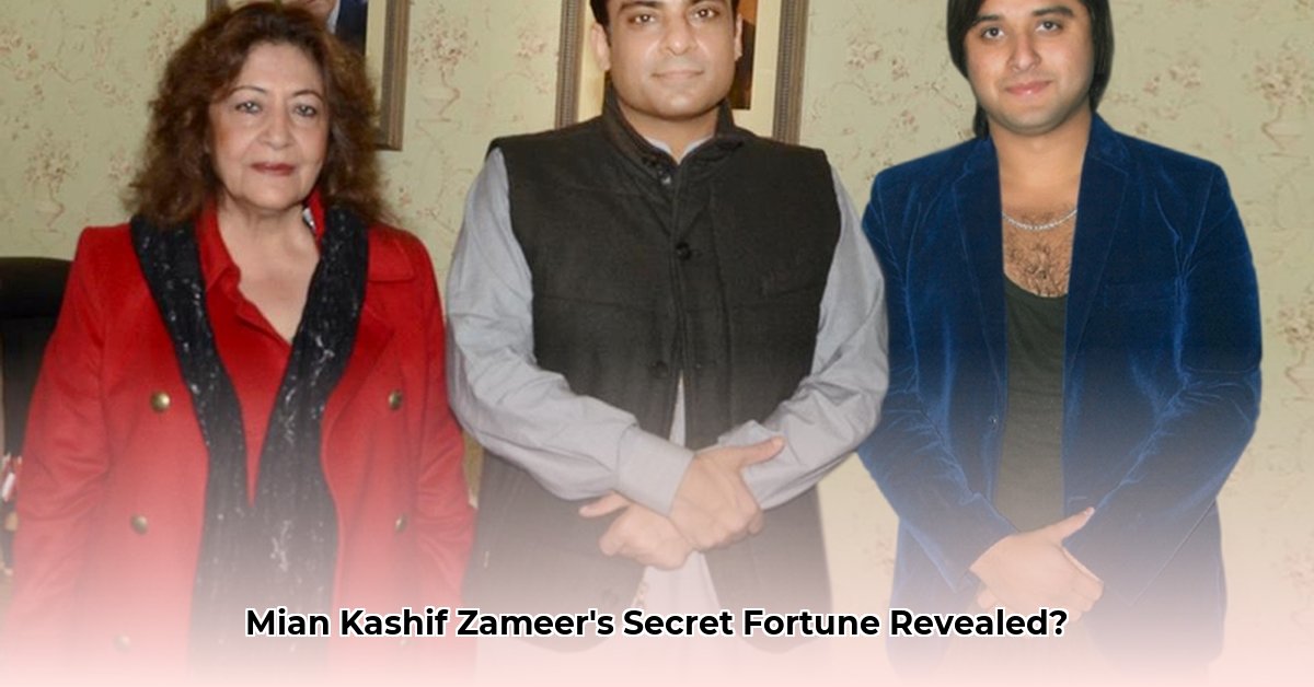 mian-kashif-zameer-net-worth